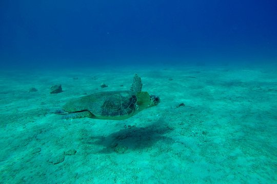 Tour image 5